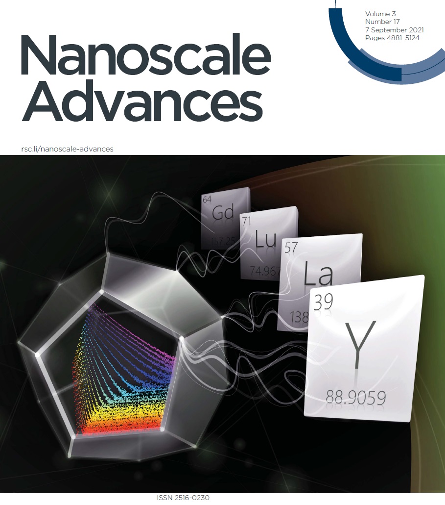 NanoscaleAdv 2021
