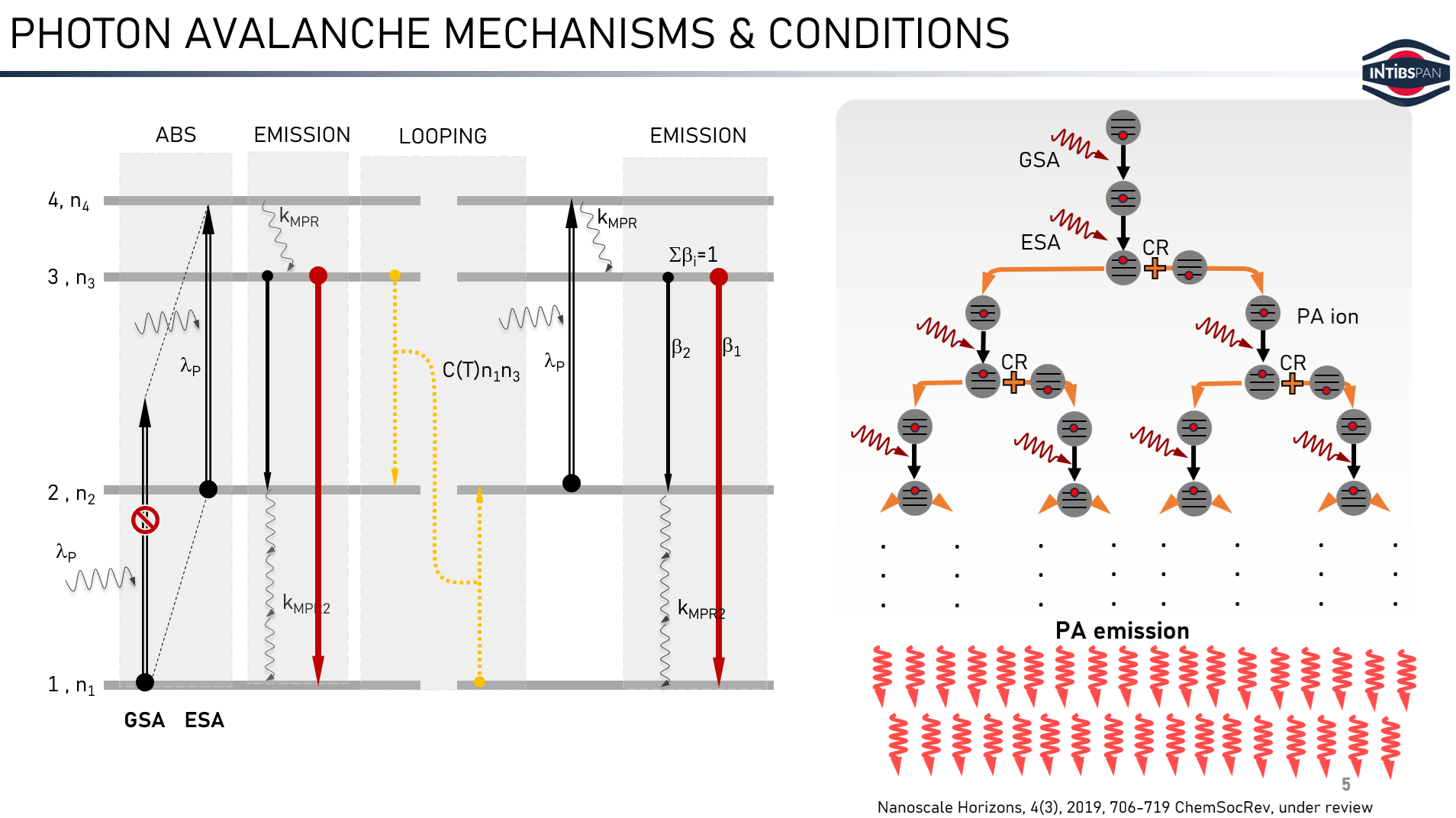 PA_mechanism_and_conditions.png